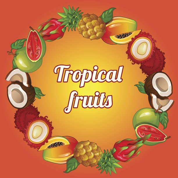 热带水果花环在明亮的背景图片下载