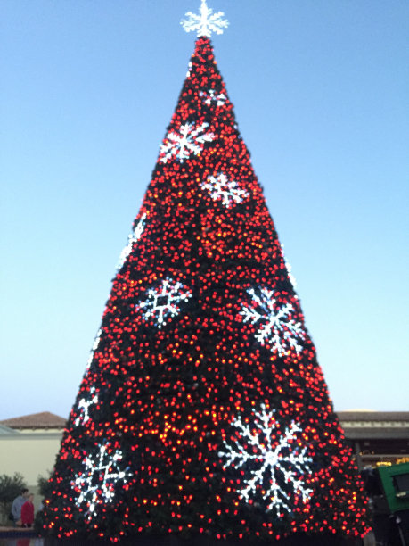 彩灯圣诞树图片下载