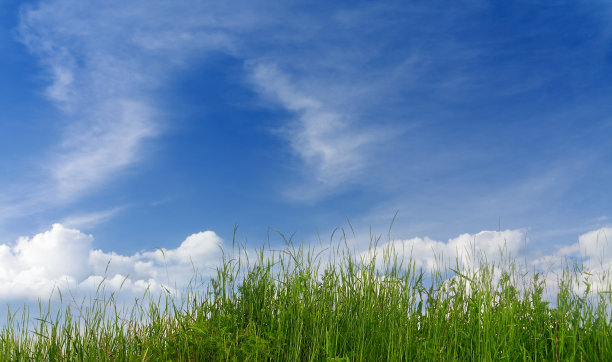 蓝天上的绿草图片下载