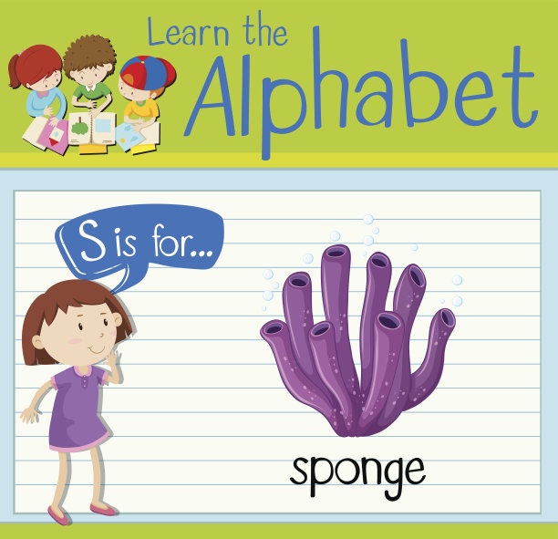 卡片上的S代表海绵图片下载