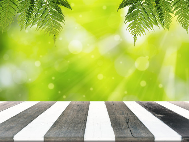 木头桌子和模糊的绿色背景。蕨类植物垂下来图片下载