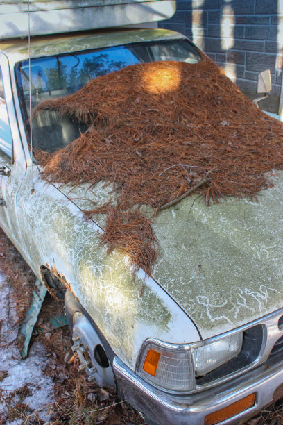 废弃的旧卡车图片下载