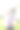 伊斯兰女性图片下载