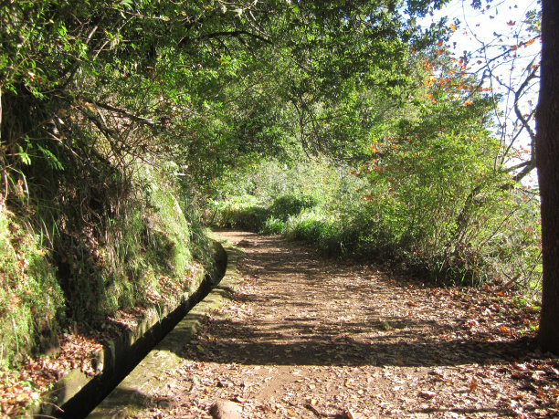 葡萄牙马德拉的勒瓦达步道图片下载