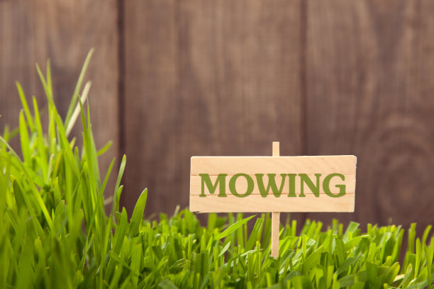 招牌在草地上图片下载