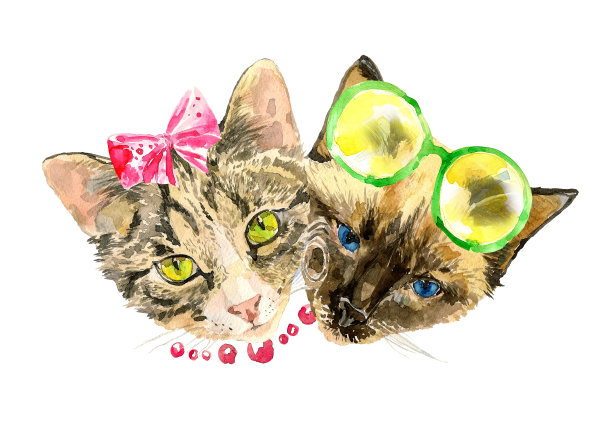 时尚的水彩猫孤立的白色背景图片下载