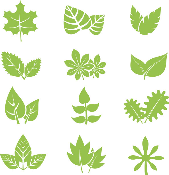 绿色叶子向量图标集图片下载