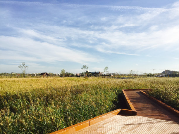 农业田顶天景观图片下载