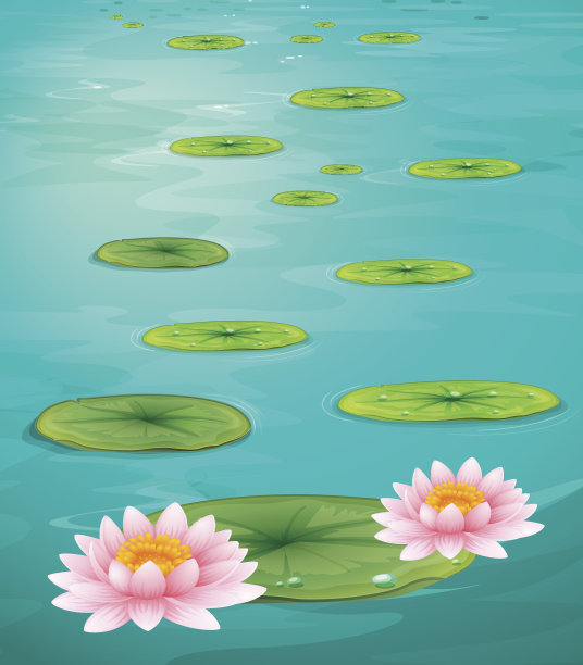 水上两朵荷花和两片荷叶素材图片