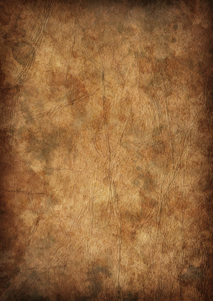 高分辨率古代动物皮肤羊皮纸Vignette Grunge纹理图片下载