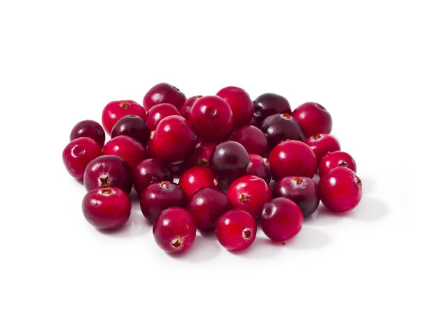 蔓越莓图片下载