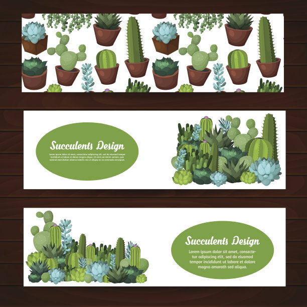 可爱的多肉矢量横幅图片下载