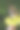 小狗玩飞盘图片下载
