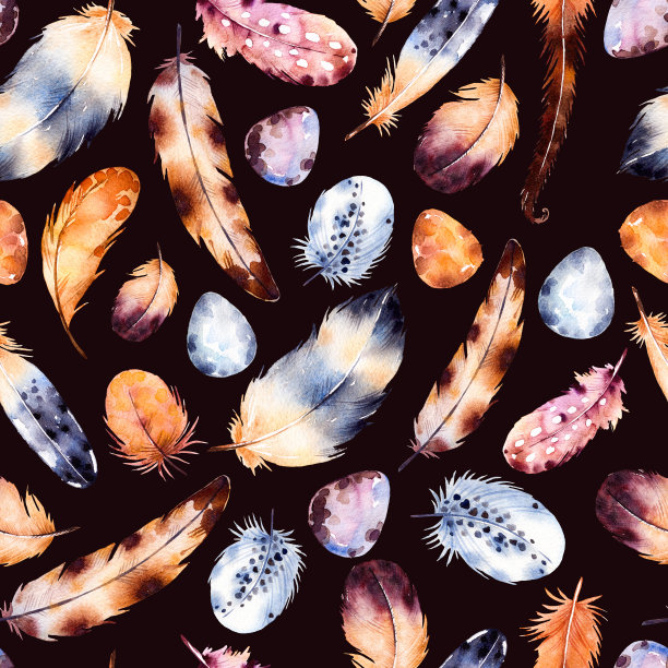 水彩的羽毛。手绘插图素材图片