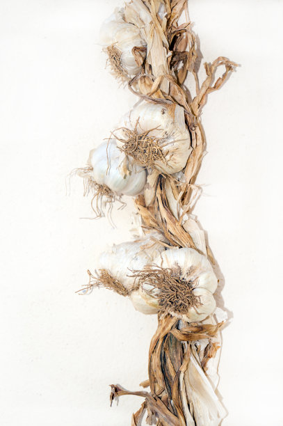 黄墙上挂着一串大蒜图片下载