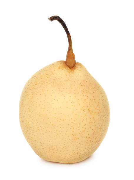 一个成熟的中国梨(分离)图片下载