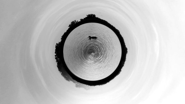 小星球上的鸭子图片下载