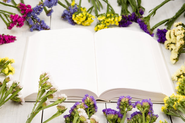 美丽多彩的花朵和翻开空白的书图片下载