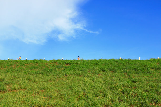蓝天下的绿色田野图片下载