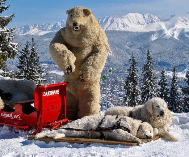 我们到了吗?图片下载