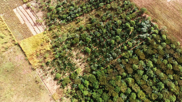 咖啡情节空中图片下载