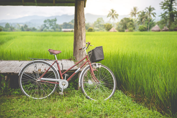 自行车图片下载