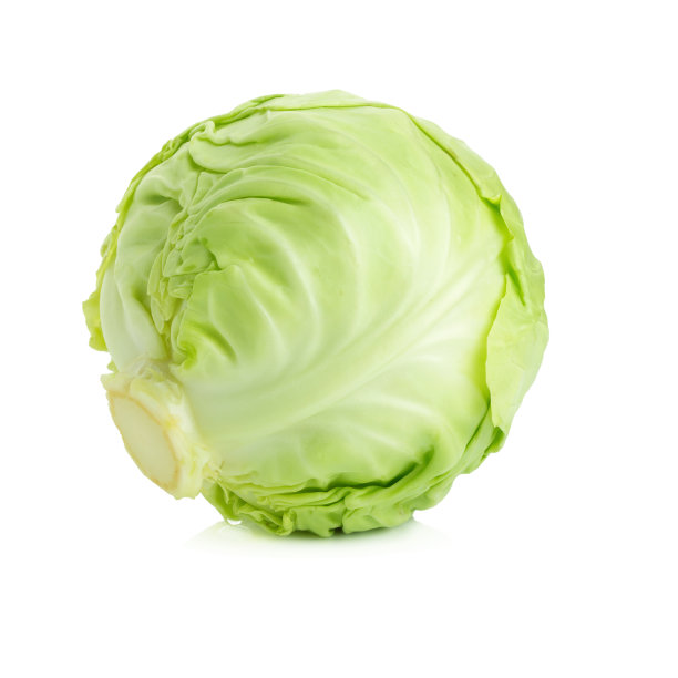 孤立在白色背景上的卷心菜。图片下载