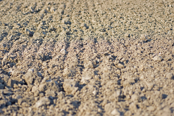 地面纹理背景。培育肥沃的土地。图片下载