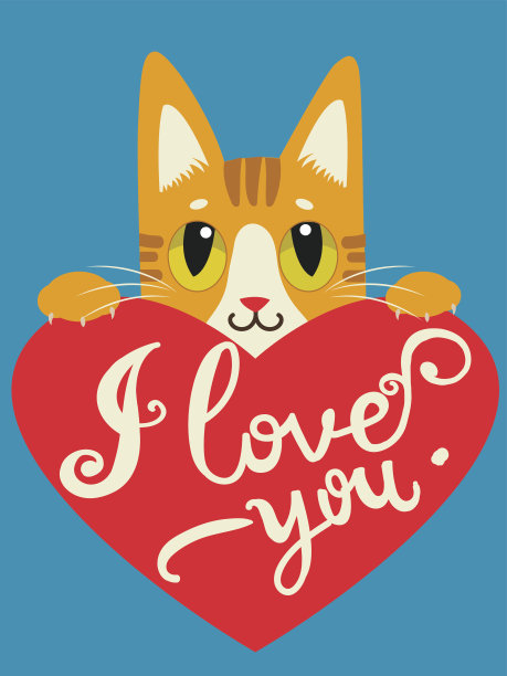 倾心的猫与心和文字我爱你。图片下载