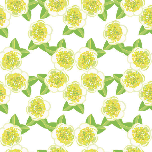 无缝图案的茶树与盛开的中国山茶。向量图片下载