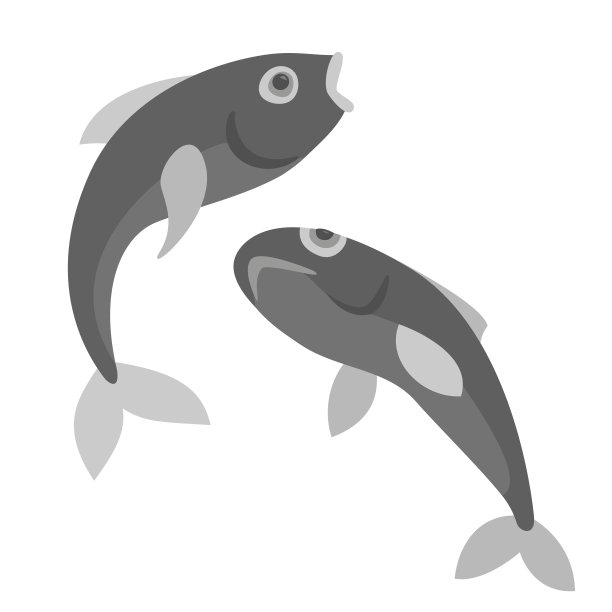 两条黑白相间的鱼图片下载