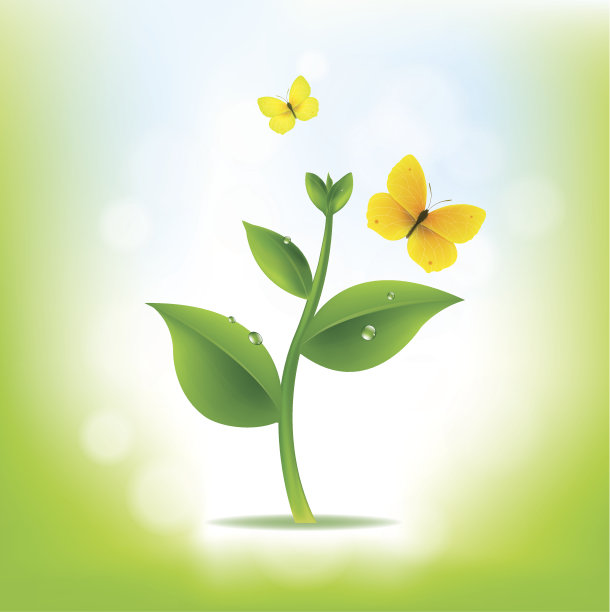 以自然为背景的植物图片下载