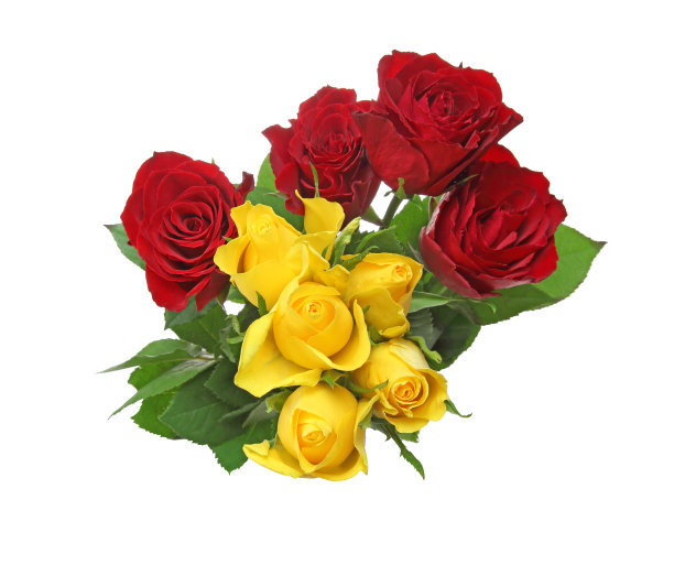 束玫瑰图片下载