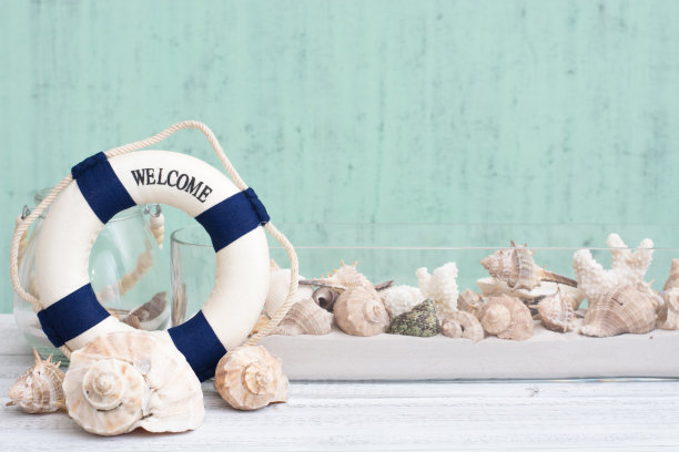 背景,贝壳图片下载