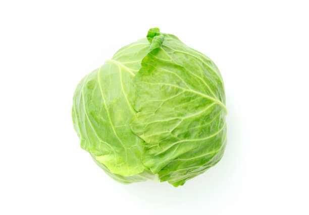 卷心菜图片下载