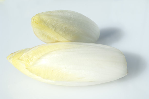 Chicoree;Cichorium;叶;沙拉图片下载