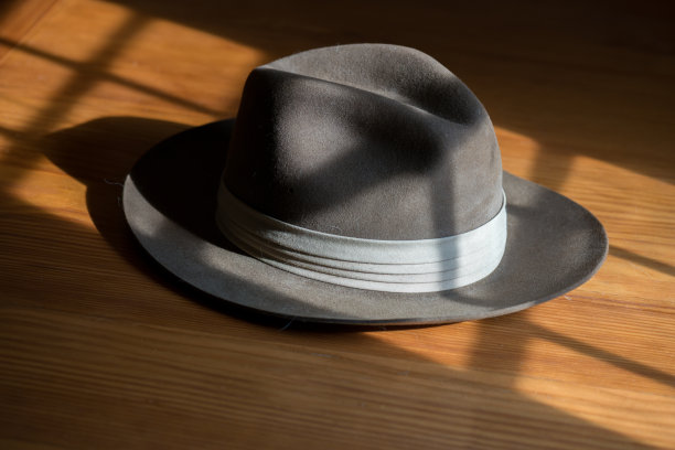 费多拉了图片下载