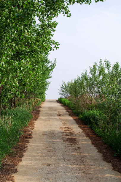 Anseong牧场图片下载