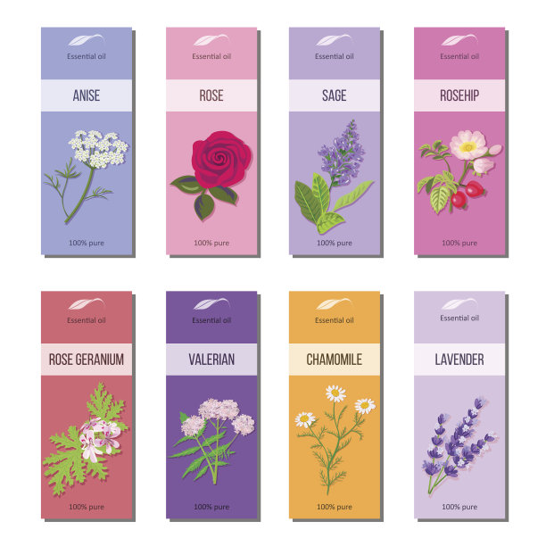 精油标签收集。玫瑰，茴香，鼠尾草，玫瑰果，薰衣草，玫瑰天竺葵，洋甘菊，缬草素材图片