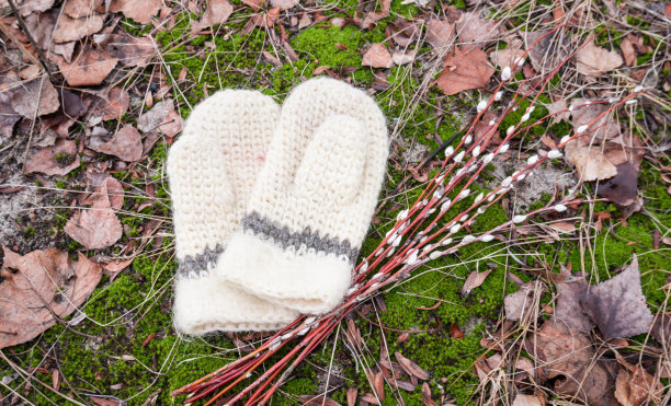 第一个春天的气味图片下载