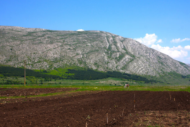 农业用地图片下载
