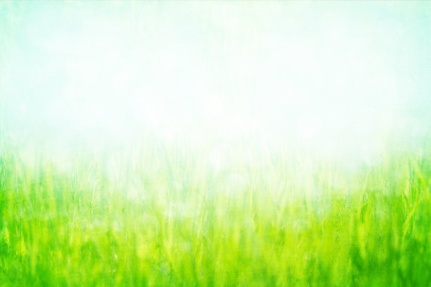 绿草抽象背景图片下载