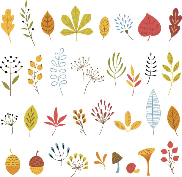 秋季花卉设计元素素材图片