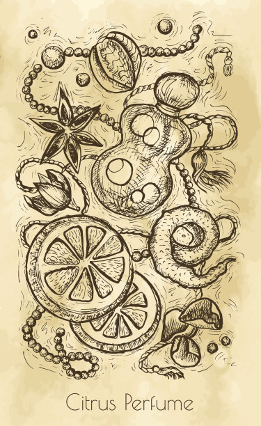 复古静物与柑橘香水概念图片下载