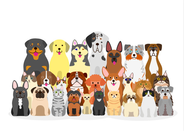 一群猫狗图片下载