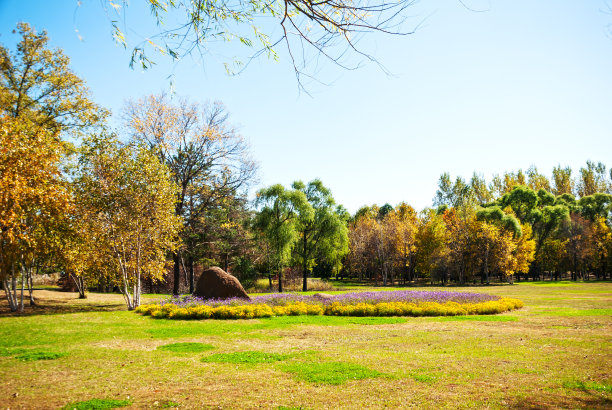 秋天的太阳岛公园图片下载