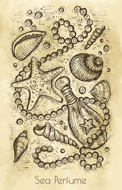 图形静物与海洋香水概念图片下载