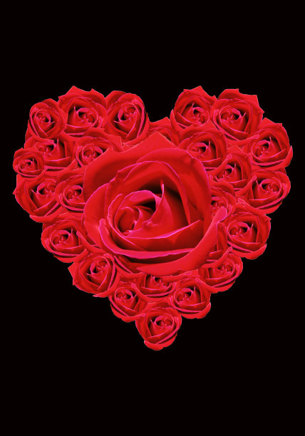 花的心;红色,玫瑰图片下载