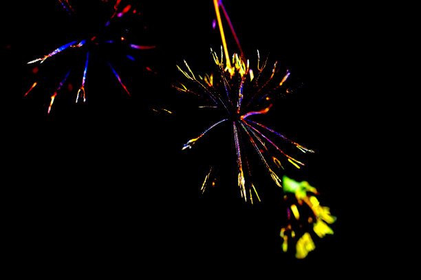 線香花火图片下载