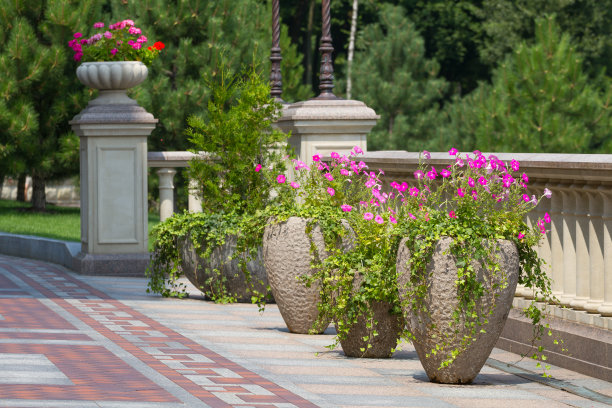 公园里的花盆图片下载